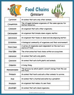 Food Chains Glossary thumbnail