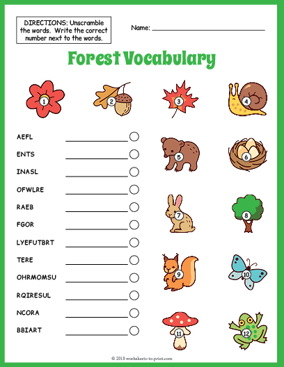 Forest Vocabulary Worksheet