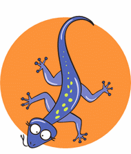 gecko on orange background