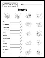 Insects Vocabulary Worksheet thumbnail
