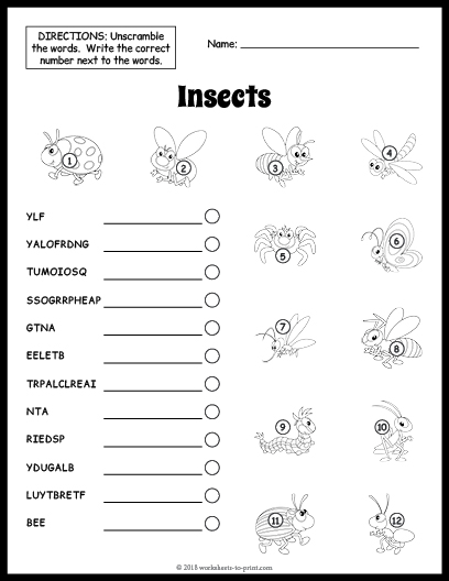 Insects Vocabulary Worksheet