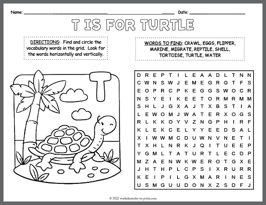 Free Turtle Word Search & Coloring Page